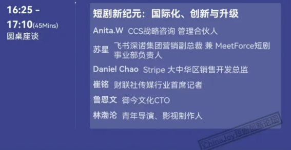 “短剧新纪元：国际化、创新与升级”圆桌座谈