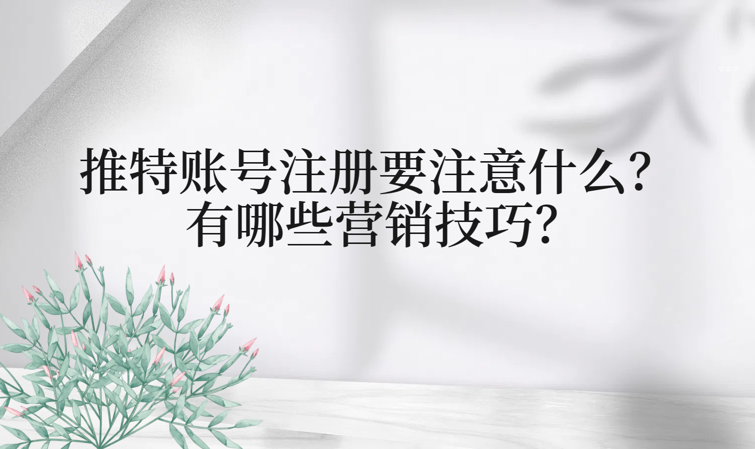 推特号购买安不安全？个人如何注册？