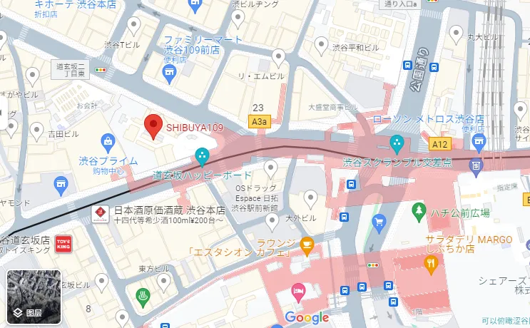 涉谷109位于忠犬八公广场的西面的交叉路口